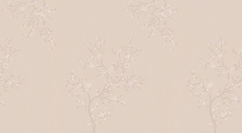 Papier peint fleur de cerisier Hanami Rose Poudré